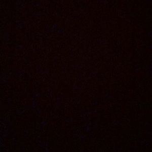 Meet your Posher, Owen